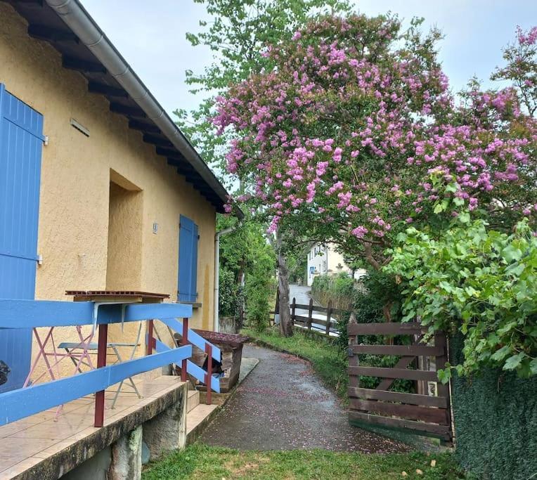 Maison Au Pied De La Montagne Aspet Eksteriør billede